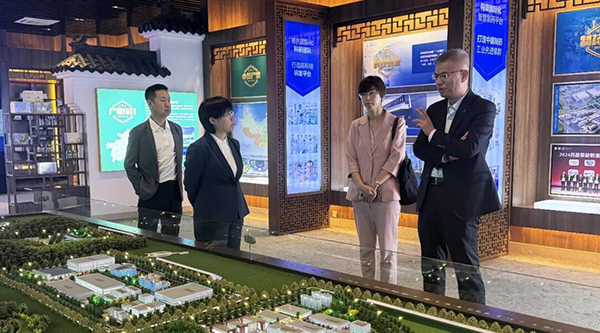 体育平台app线上官方