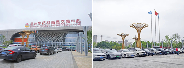 体育平台app线上官方