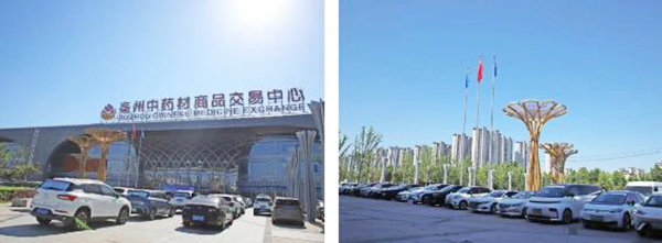 体育平台app线上官方