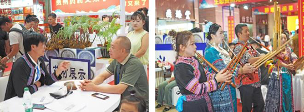 体育平台app线上官方