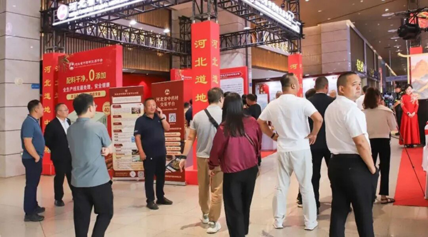 体育平台app线上官方